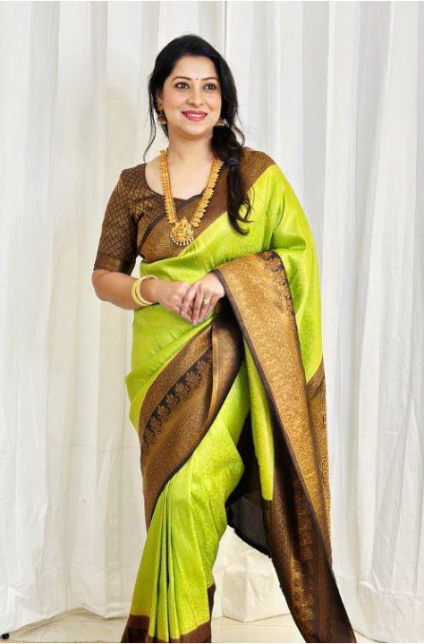 Banarasi Soft Silk Saree